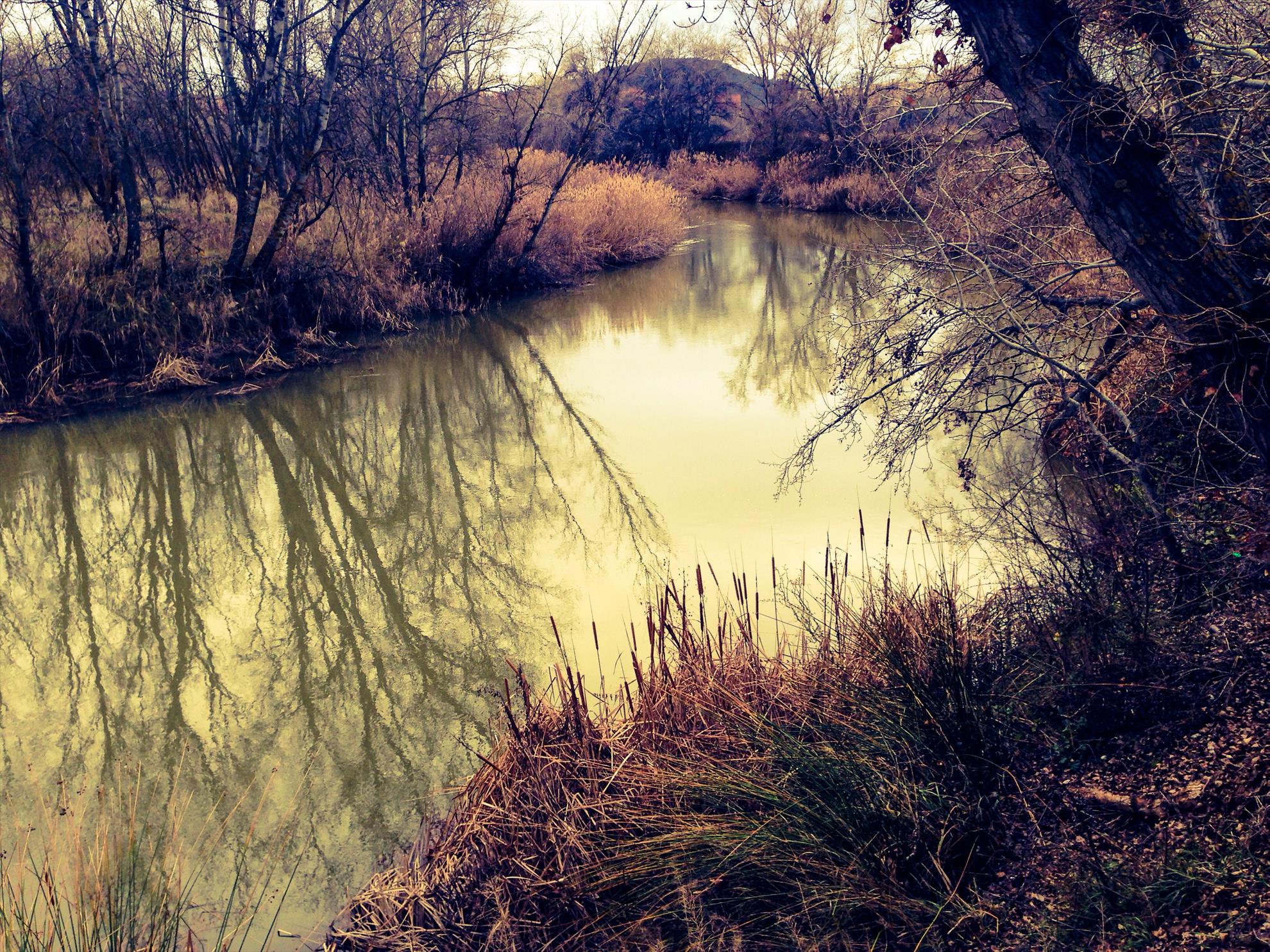 2013 - 3 - image11111111111111111111111111.jpg